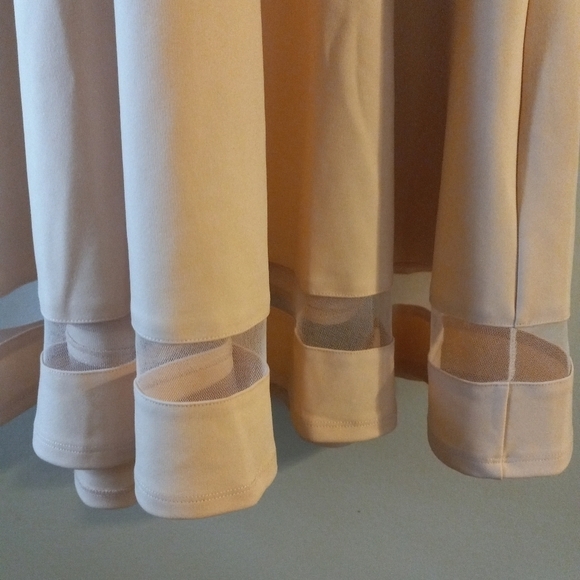 NWT Lulus Sheer Determination Mesh Skater Dress Sleeveless Peach  Size XL - Picture 4 of 8